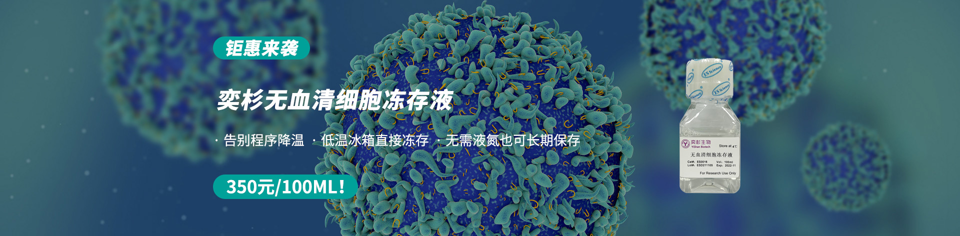 奕赛生物主营红细胞裂解液、重组转铁蛋白、T细胞扩增、ITSE